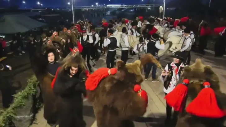 Ursul de la darmanesti