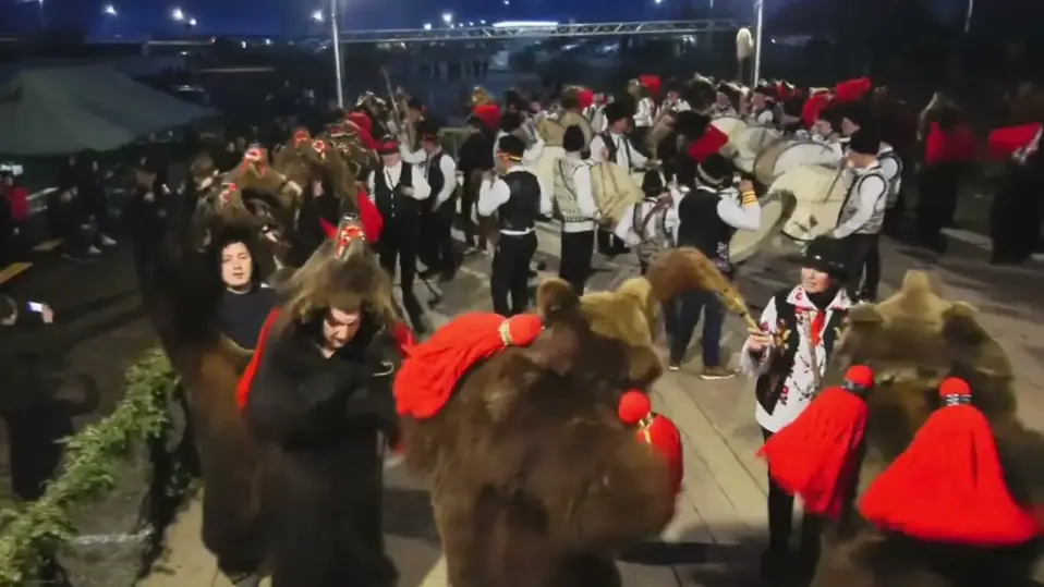 Ursul de la darmanesti